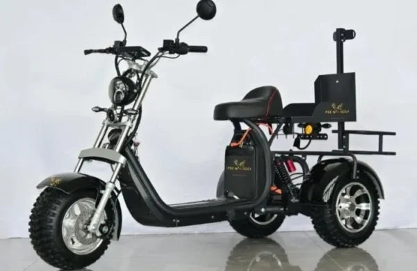 Explore the Convenience of Buying an Electric Golf Buggy Online